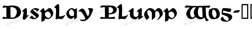 Display Plump W05字体转换
